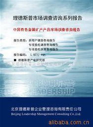北京理德斯普企業(yè)管理咨詢有限責任公司 卓越管理，專業(yè)賦能
